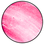 Mathematics 12 01943 i023