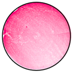 Mathematics 12 01943 i024