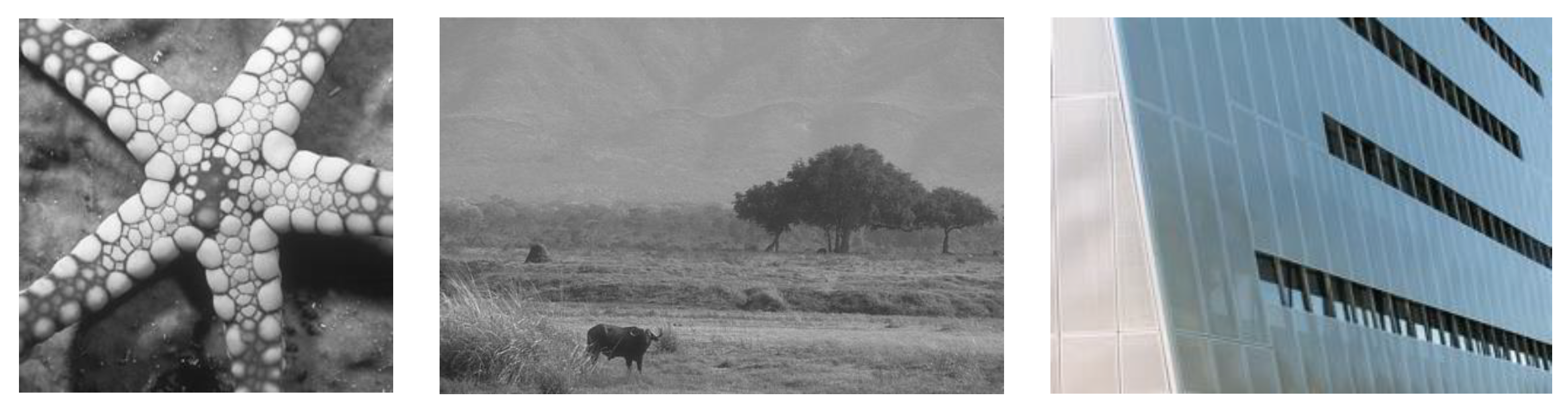 Mathematics 12 02020 g008