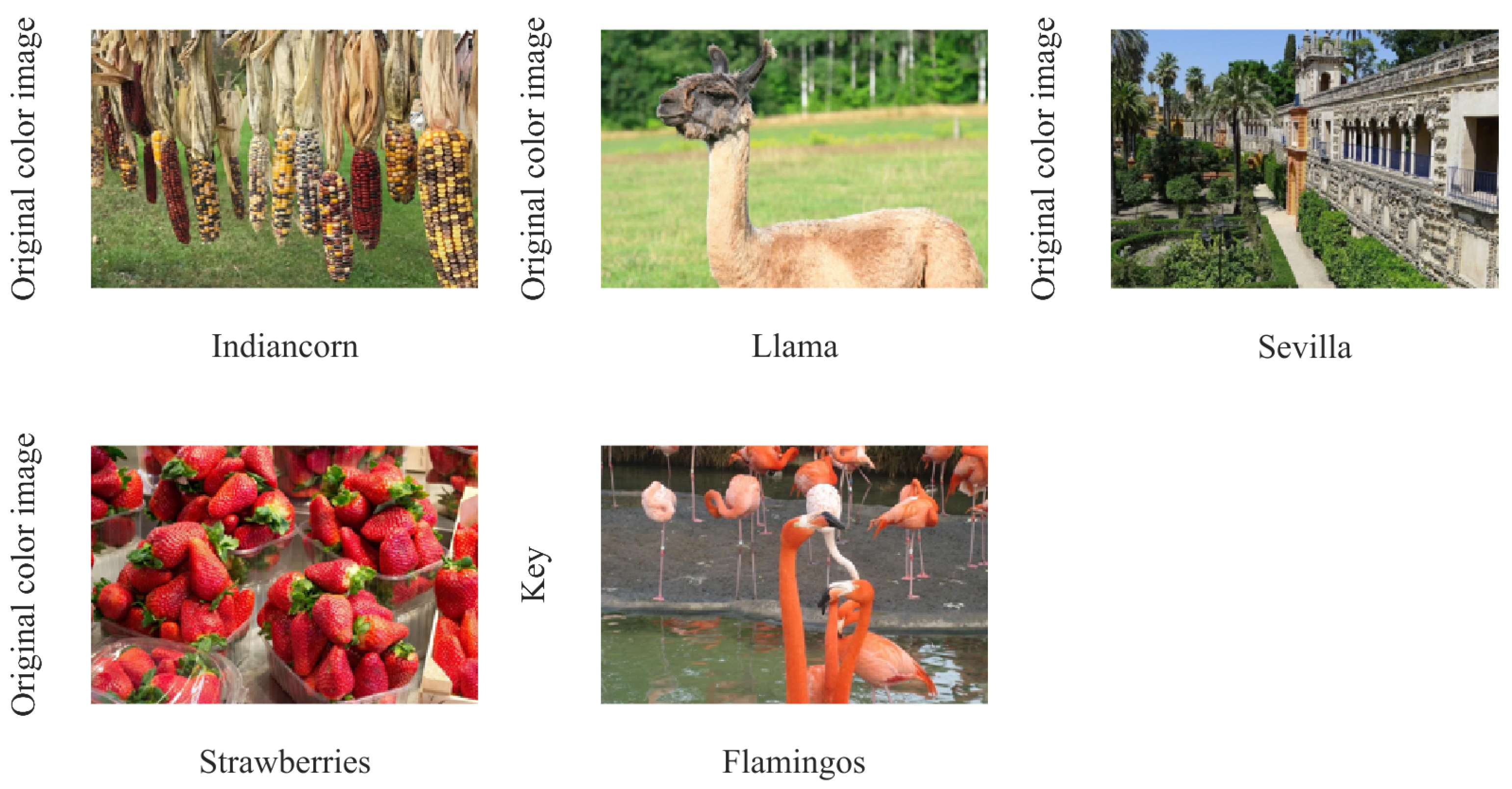 Mathematics 12 02341 g003