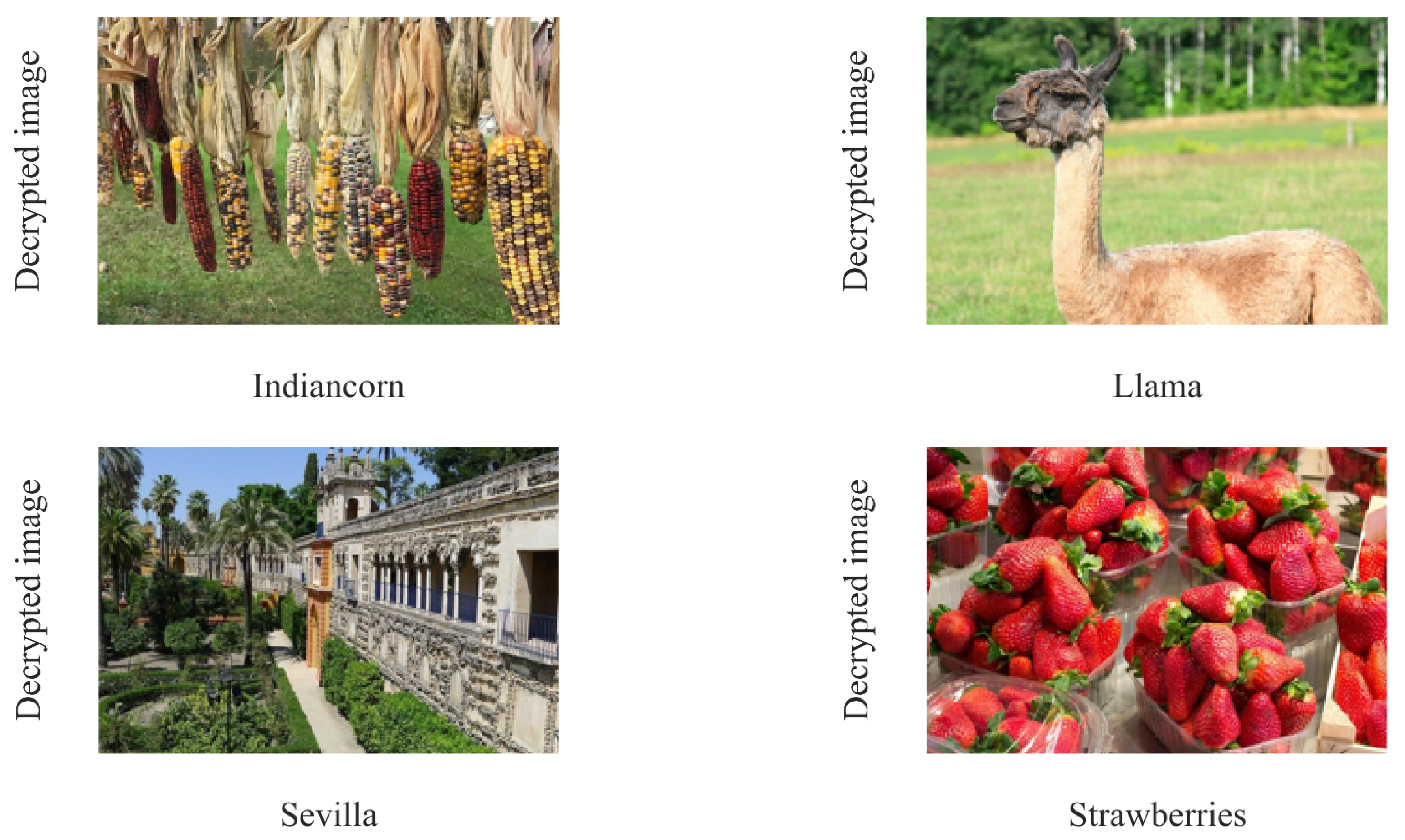 Mathematics 12 02341 g005