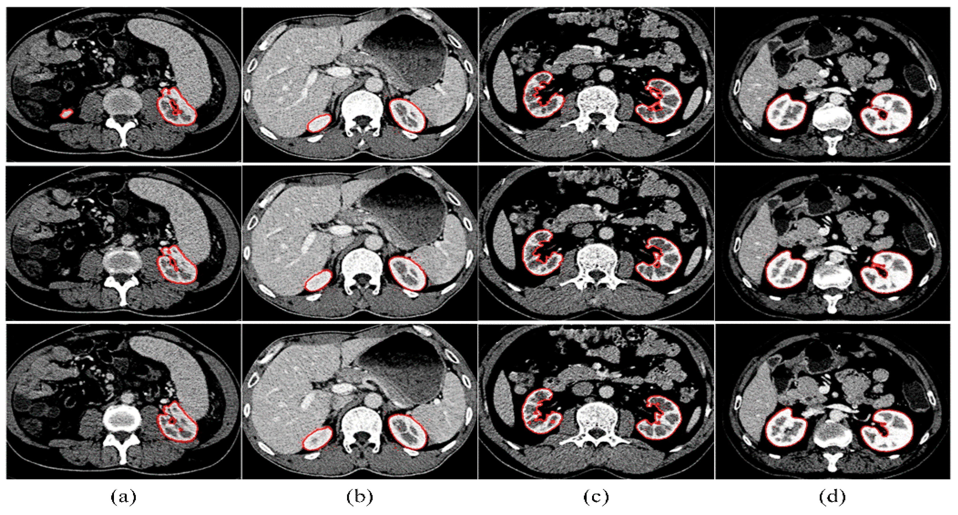 Mathematics 12 02362 g012