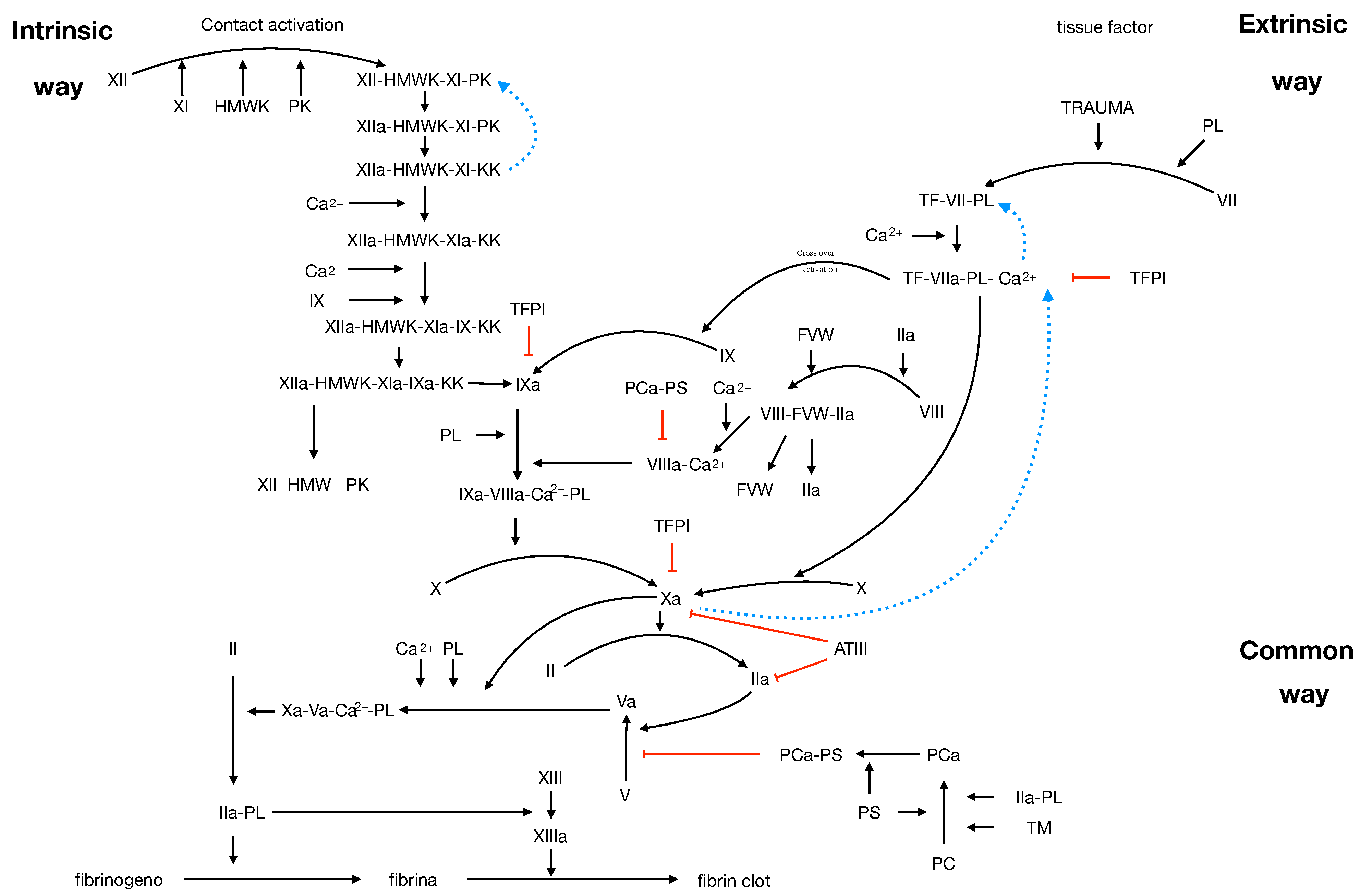 Mathematics 12 02422 g006