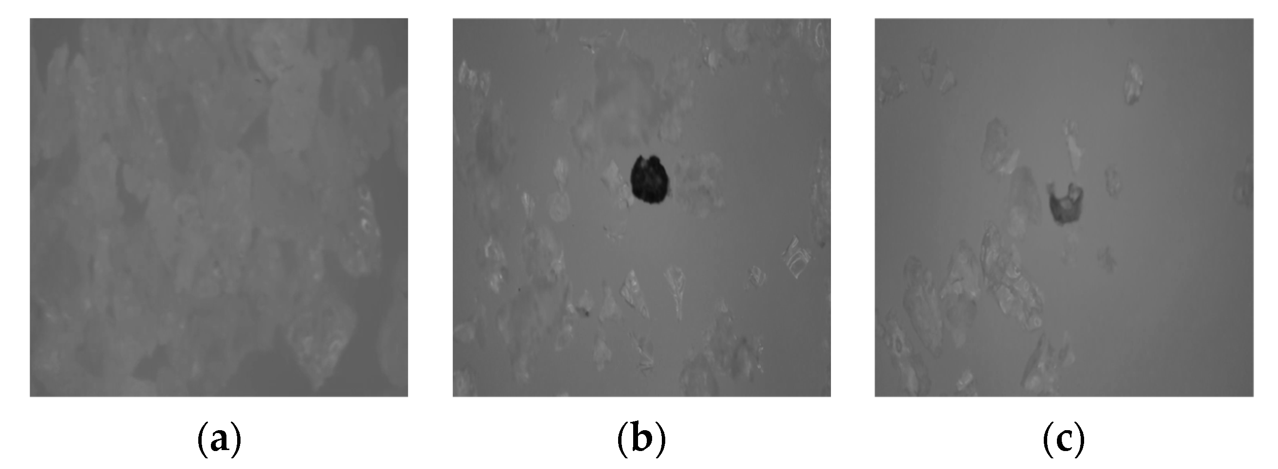 Mathematics 12 02473 g006