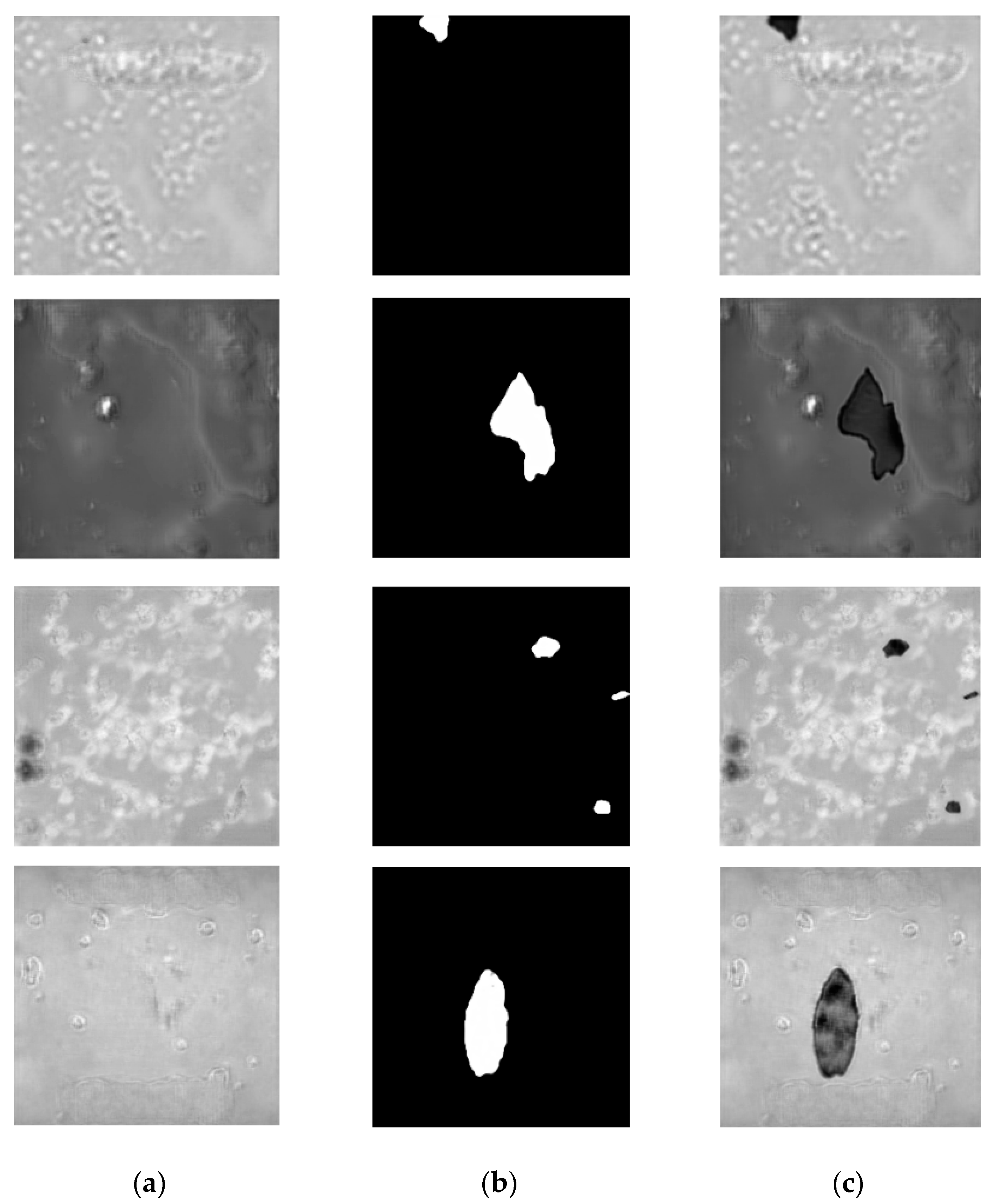 Mathematics 12 02473 g008