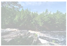 Mathematics 12 02526 i020