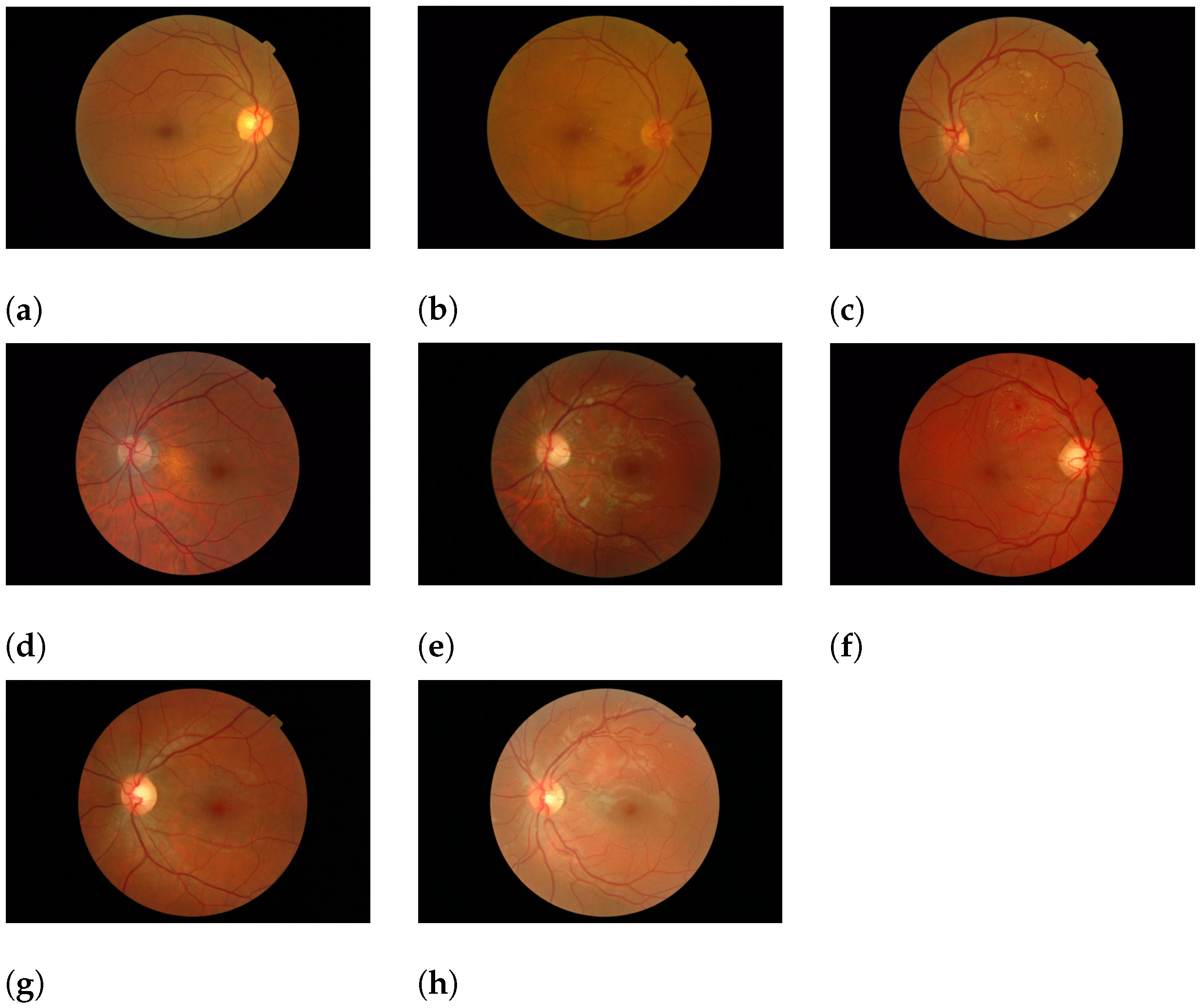 Mathematics 12 02543 g001 Mathematics 12 02543 g001