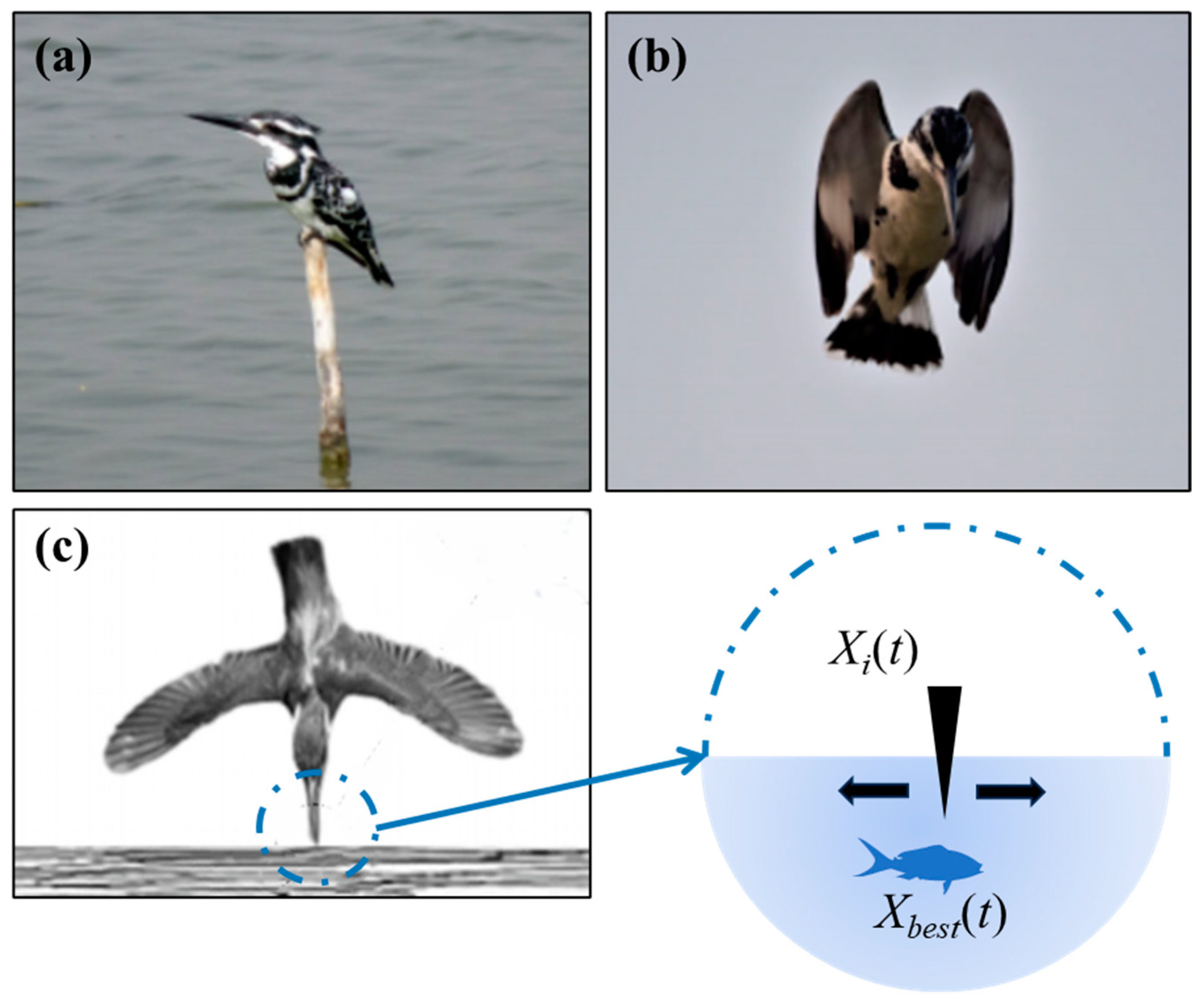 Mathematics 12 02954 g002