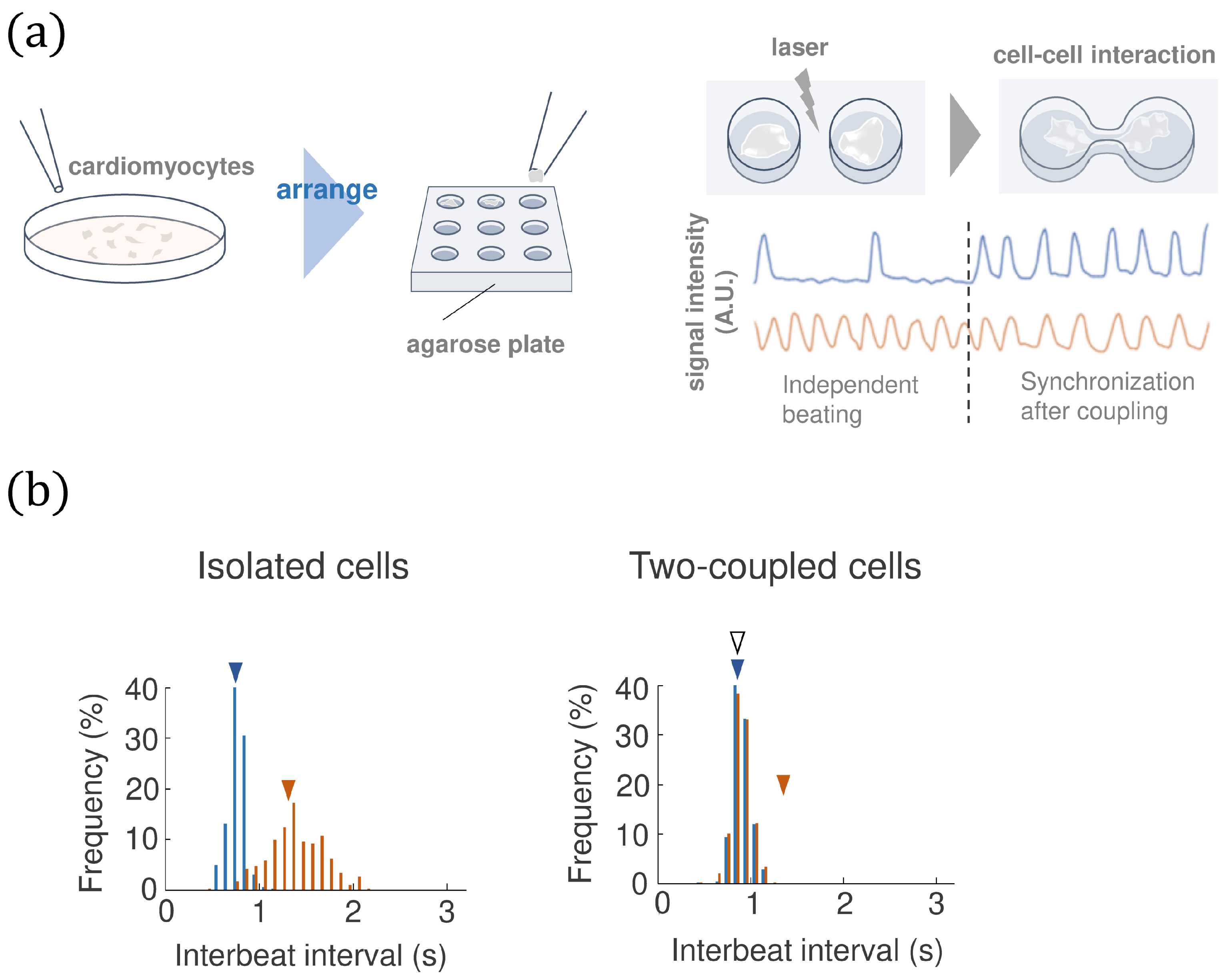 Mathematics 12 02964 g001