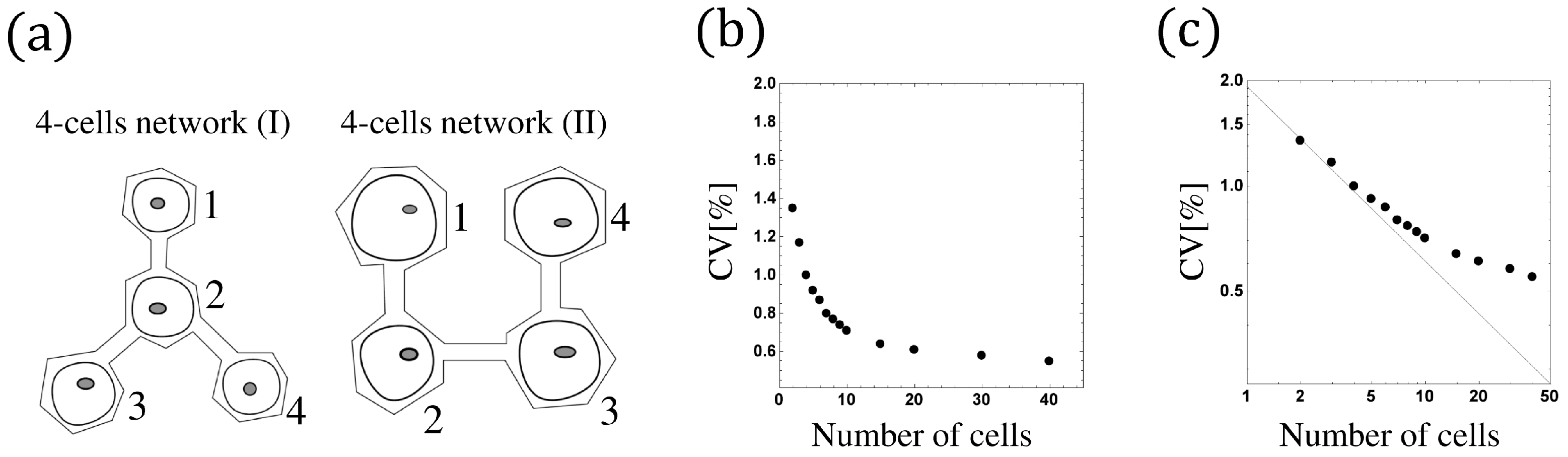 Mathematics 12 02964 g009