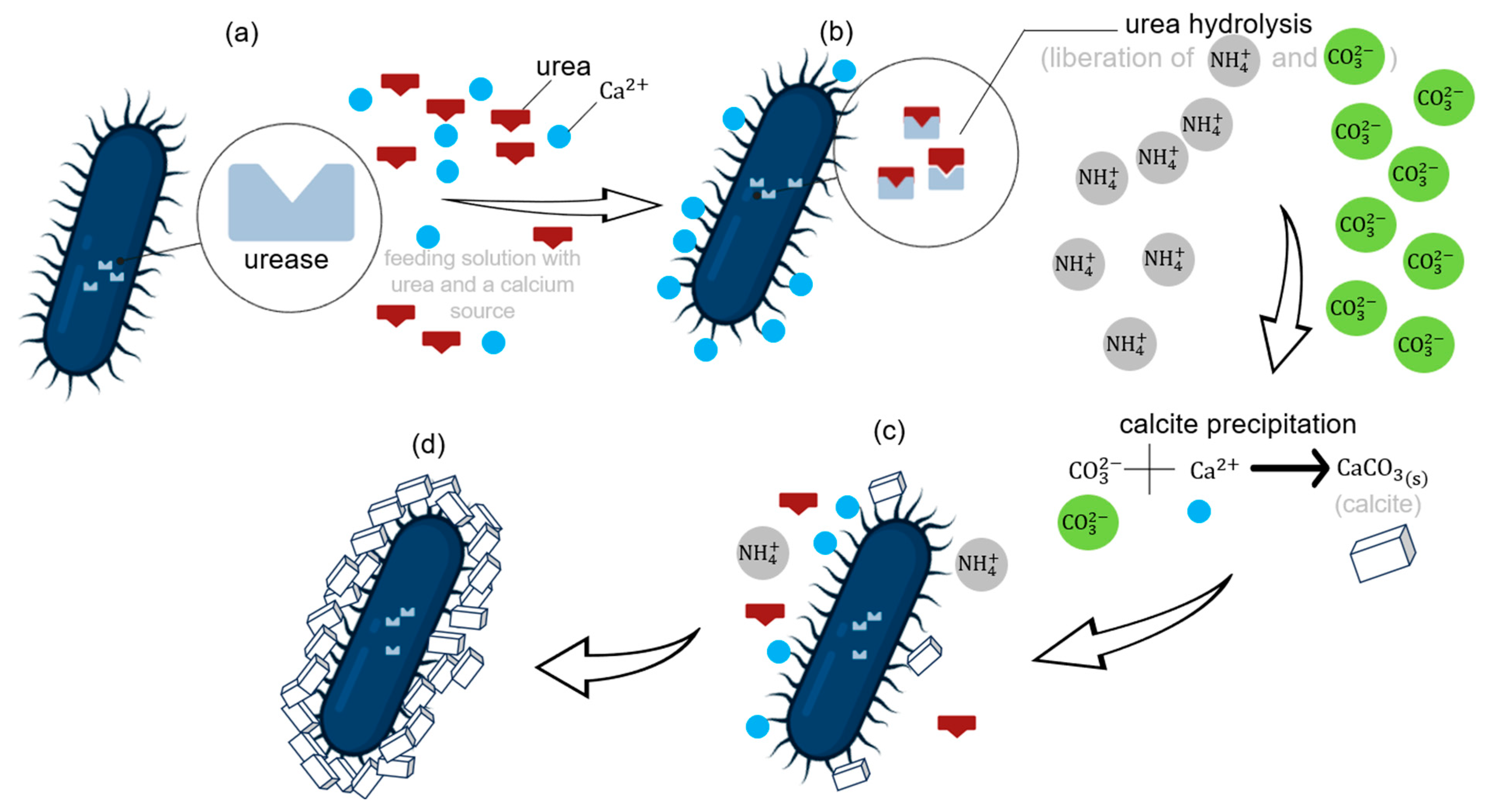 Mathematics 12 03267 g001