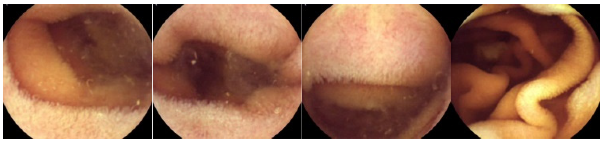 Mathematics 12 03317 g002