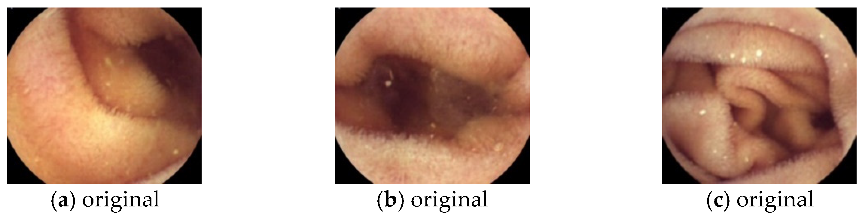 Mathematics 12 03317 g008