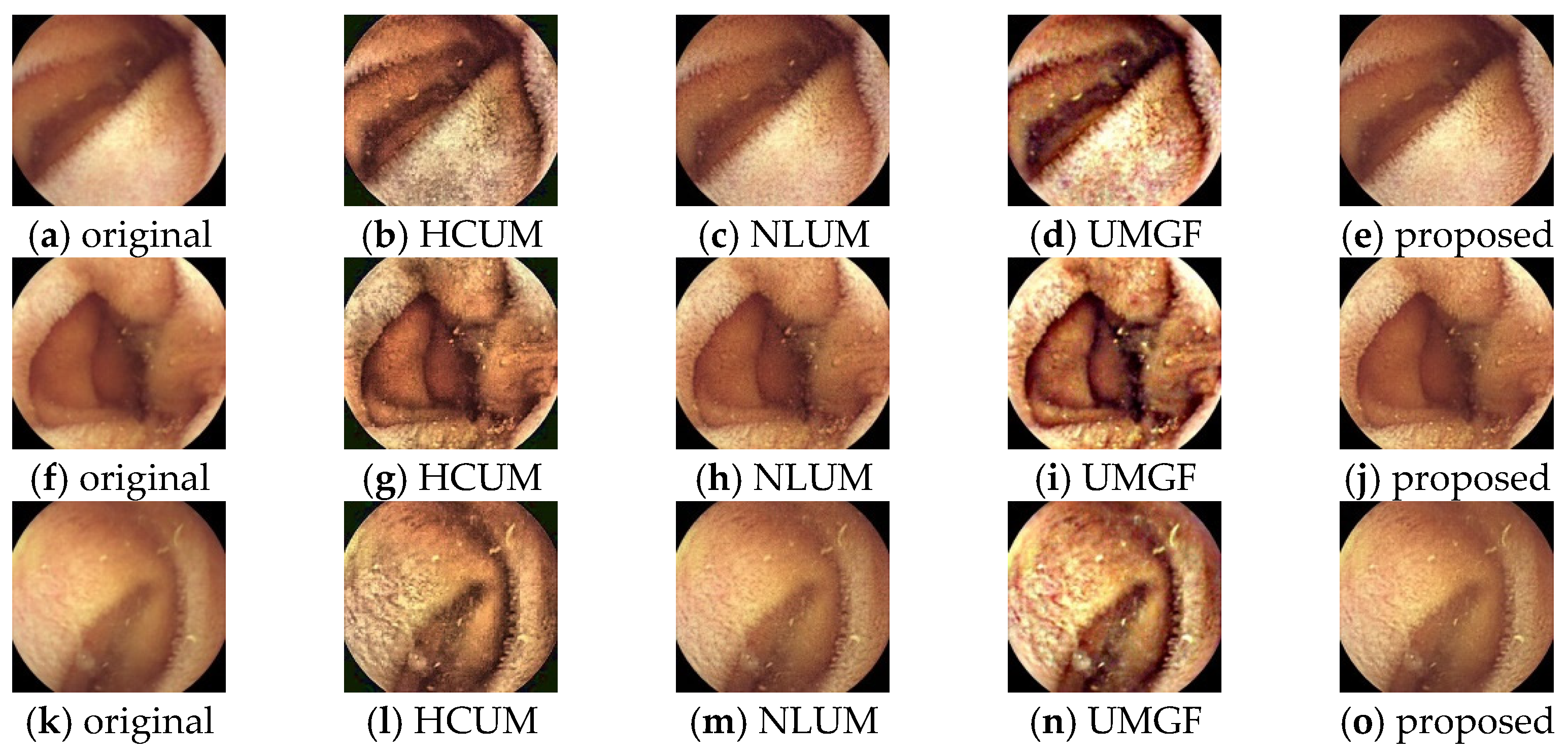 Mathematics 12 03317 g012