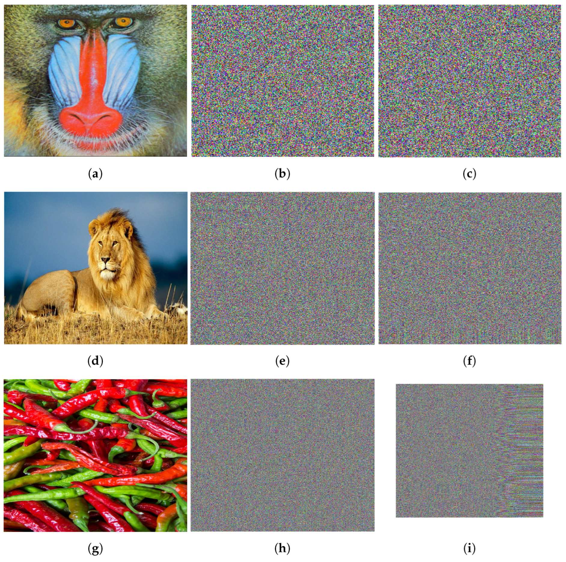 Mathematics 12 03345 g019