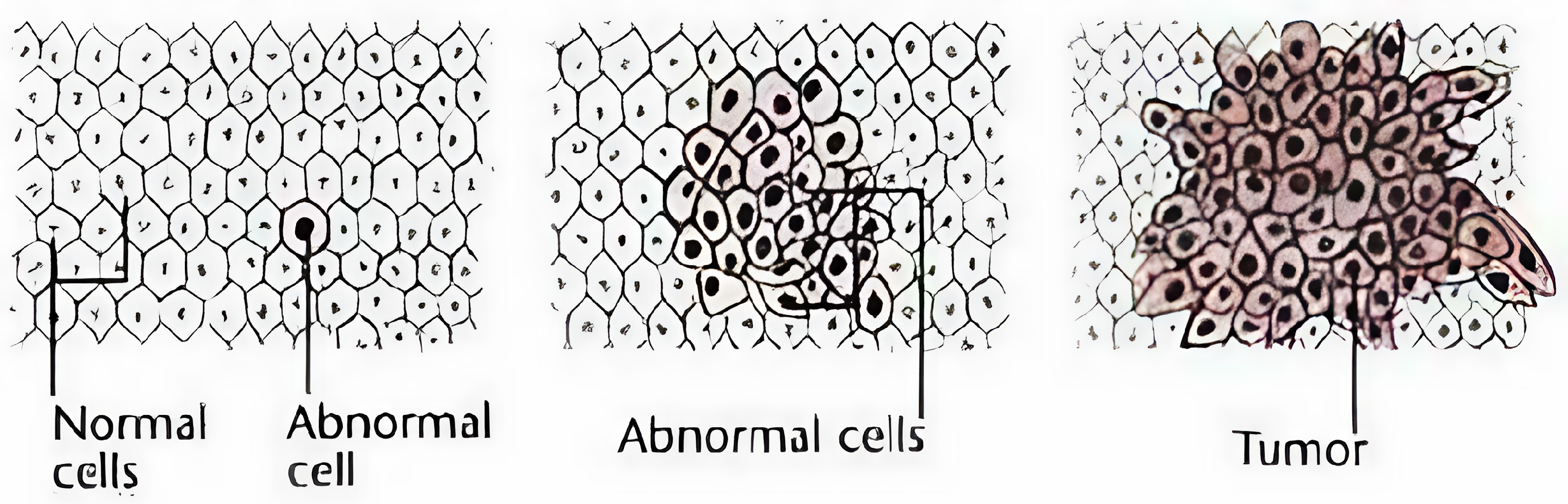 Mathematics 12 03354 g001 Mathematics 12 03354 g001