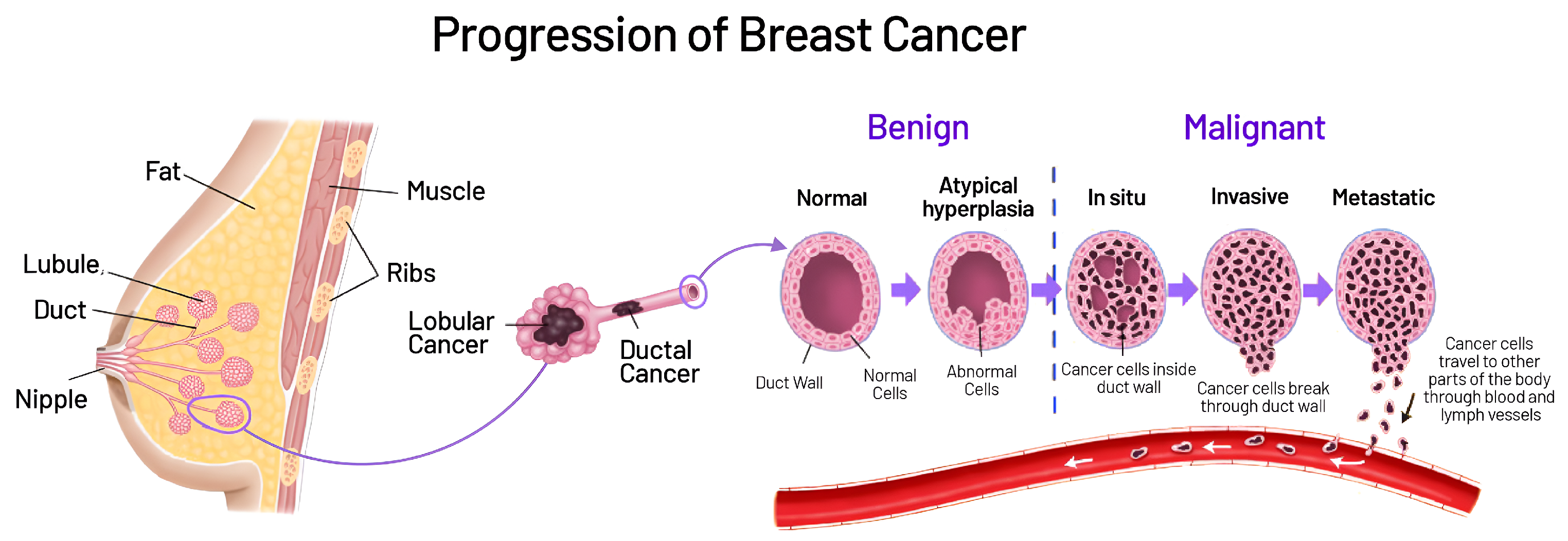 Mathematics 12 03354 g002 Mathematics 12 03354 g002