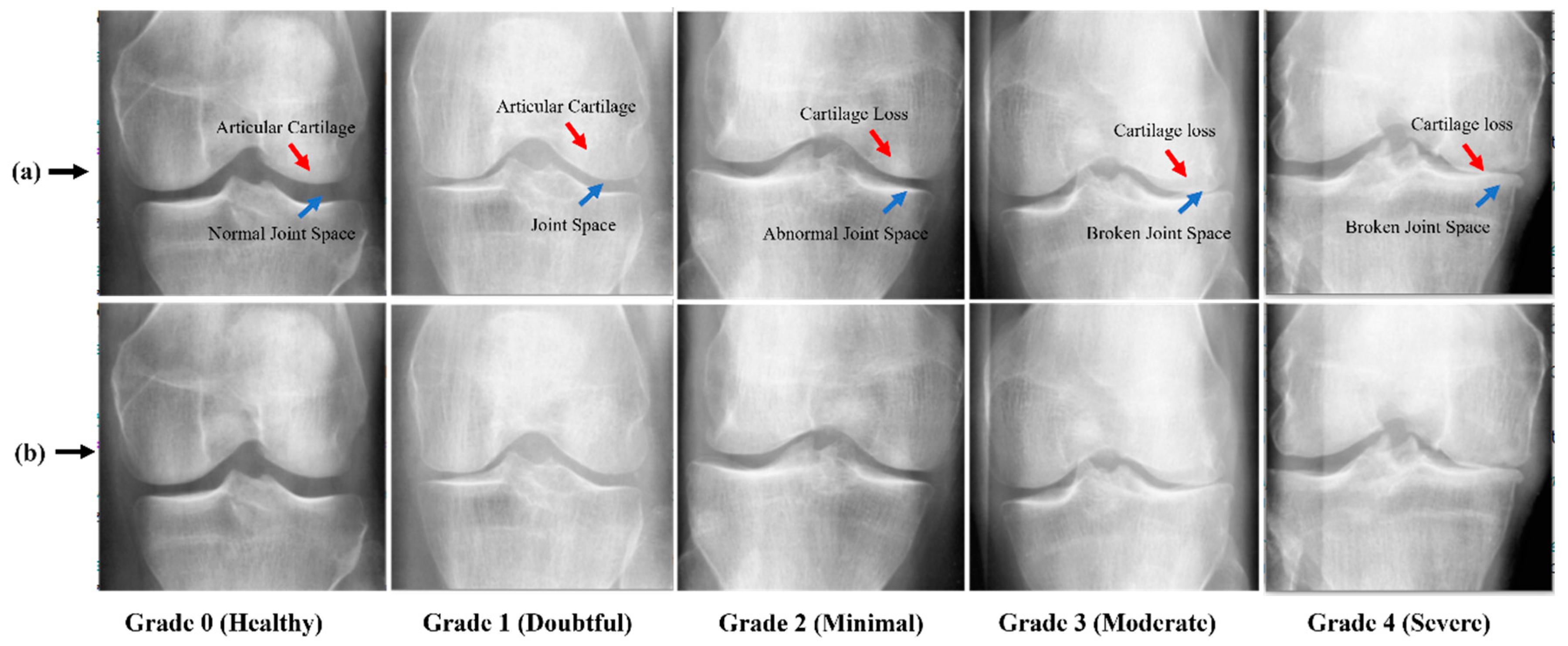 Mathematics 12 03534 g002