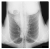 Mathematics 12 03705 i001