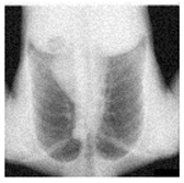 Mathematics 12 03705 i002