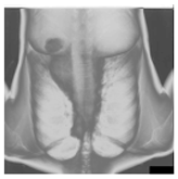 Mathematics 12 03705 i003