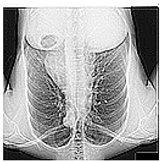 Mathematics 12 03705 i004