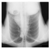 Mathematics 12 03705 i005