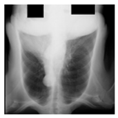 Mathematics 12 03705 i006