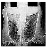 Mathematics 12 03705 i009