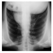 Mathematics 12 03705 i011