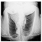 Mathematics 12 03705 i019