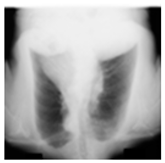 Mathematics 12 03705 i020