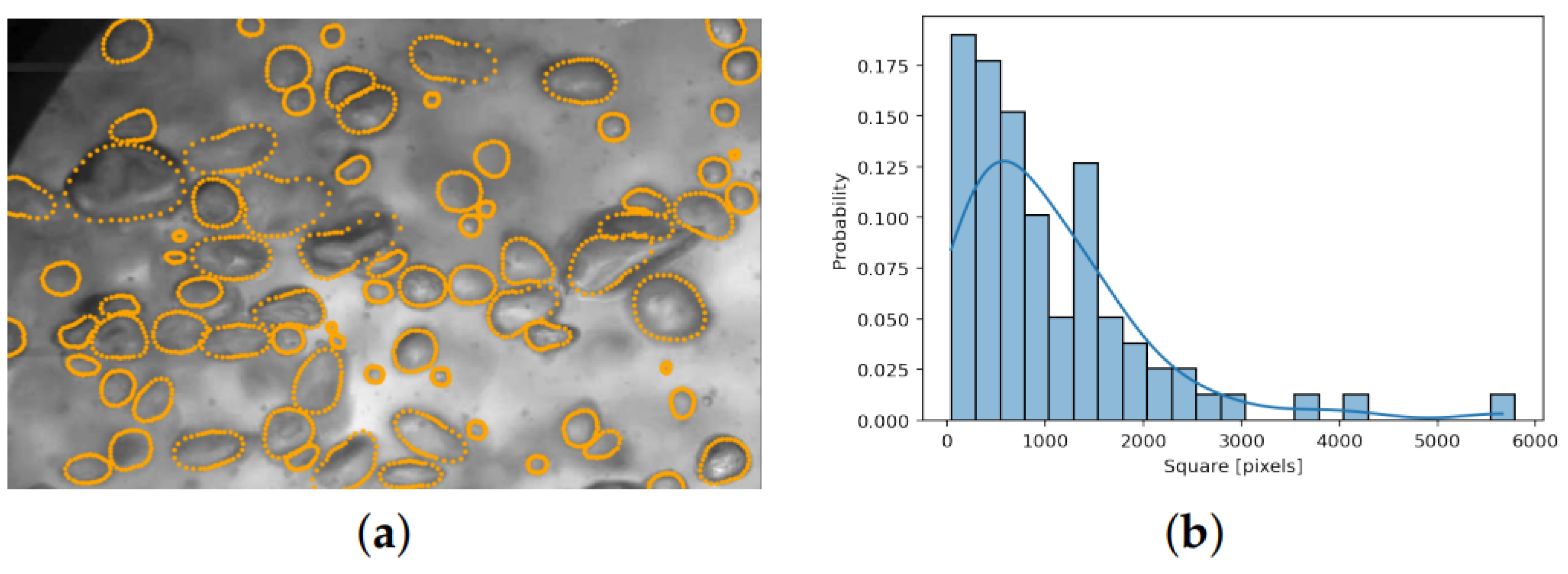 Mathematics 12 03864 g002
