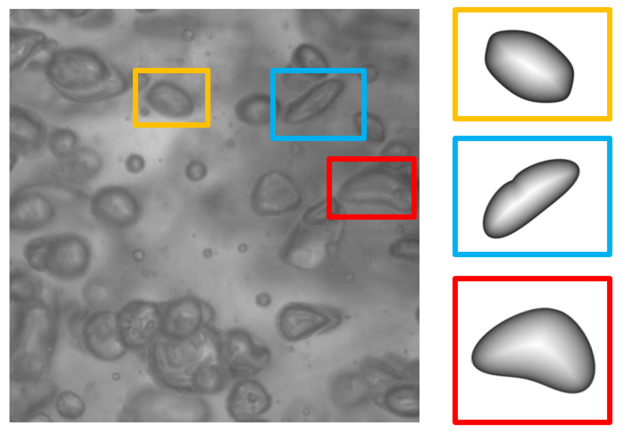 Mathematics 12 03864 g016