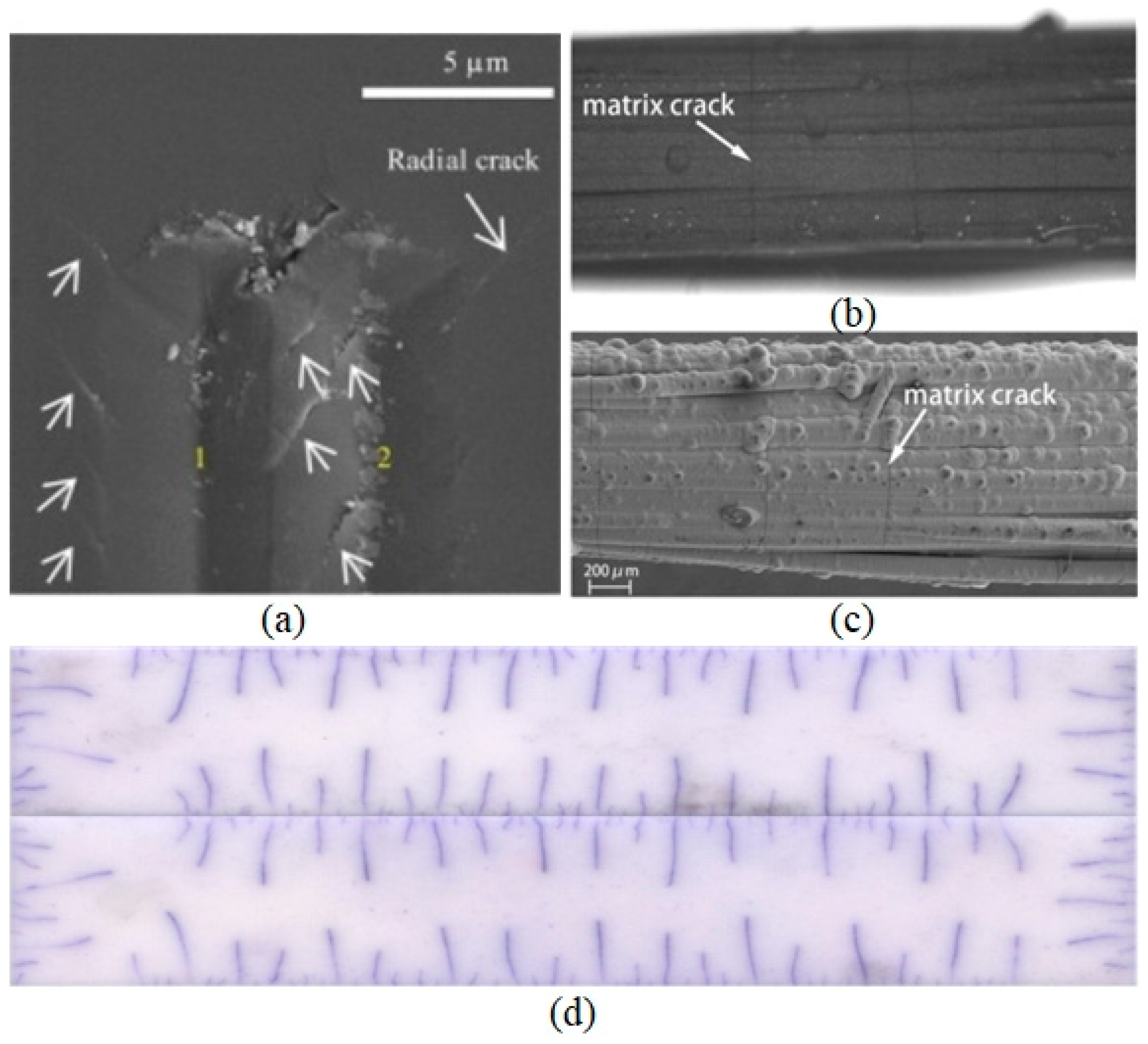 Mathematics 12 03881 g007 Mathematics 12 03881 g007