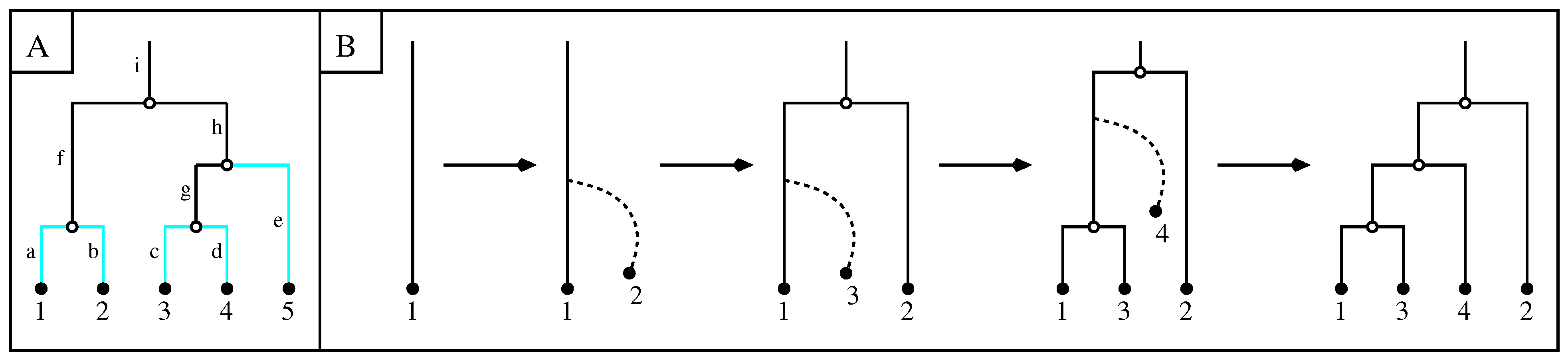 Mathematics 12 03974 g001