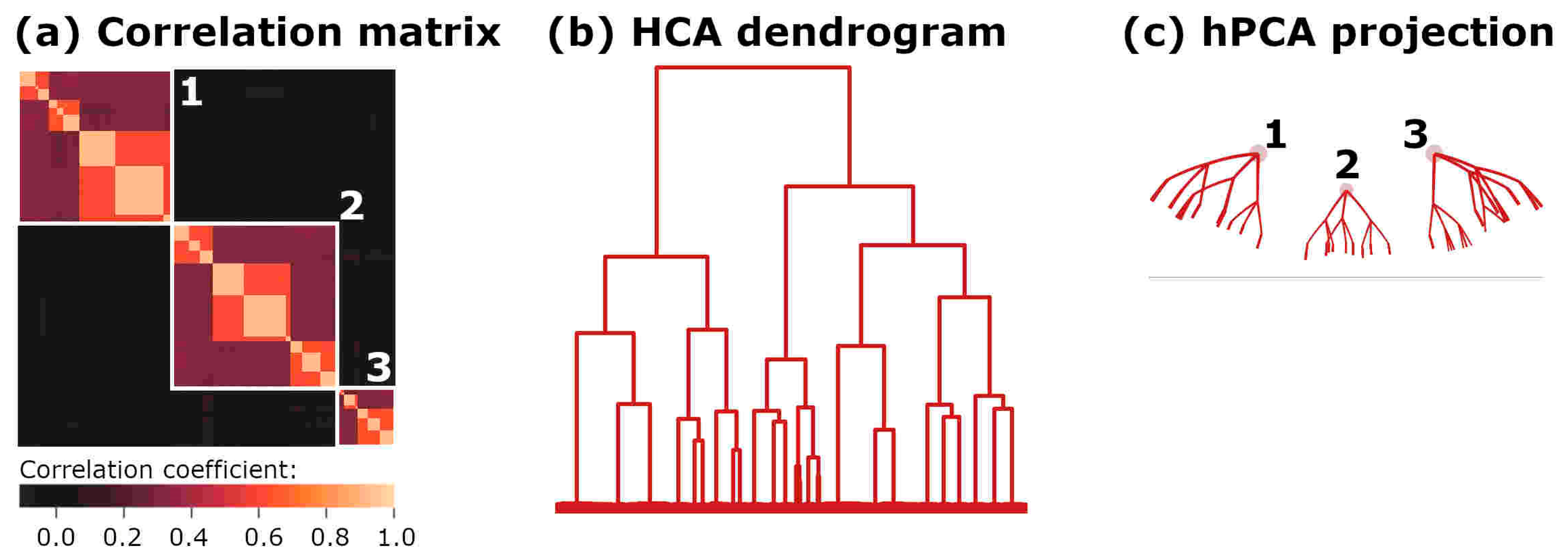 Mathematics 13 00072 g003
