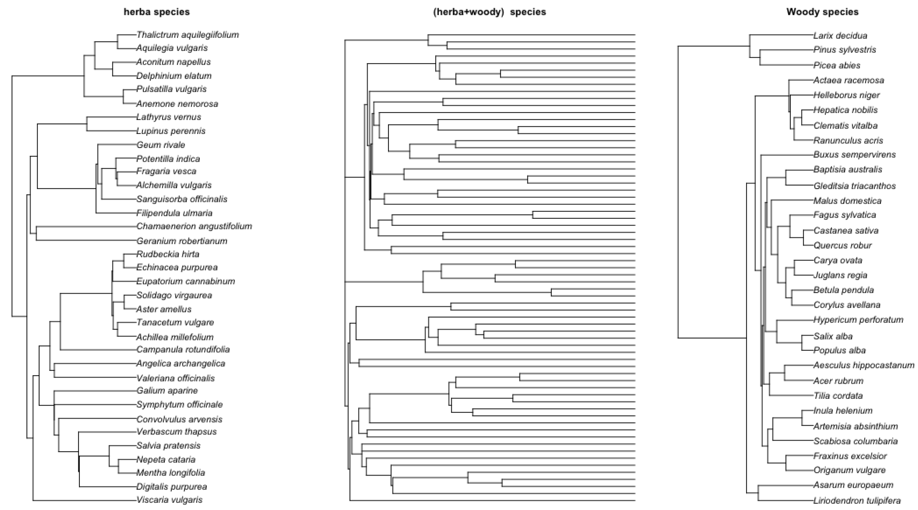 Mathematics 13 00111 g007