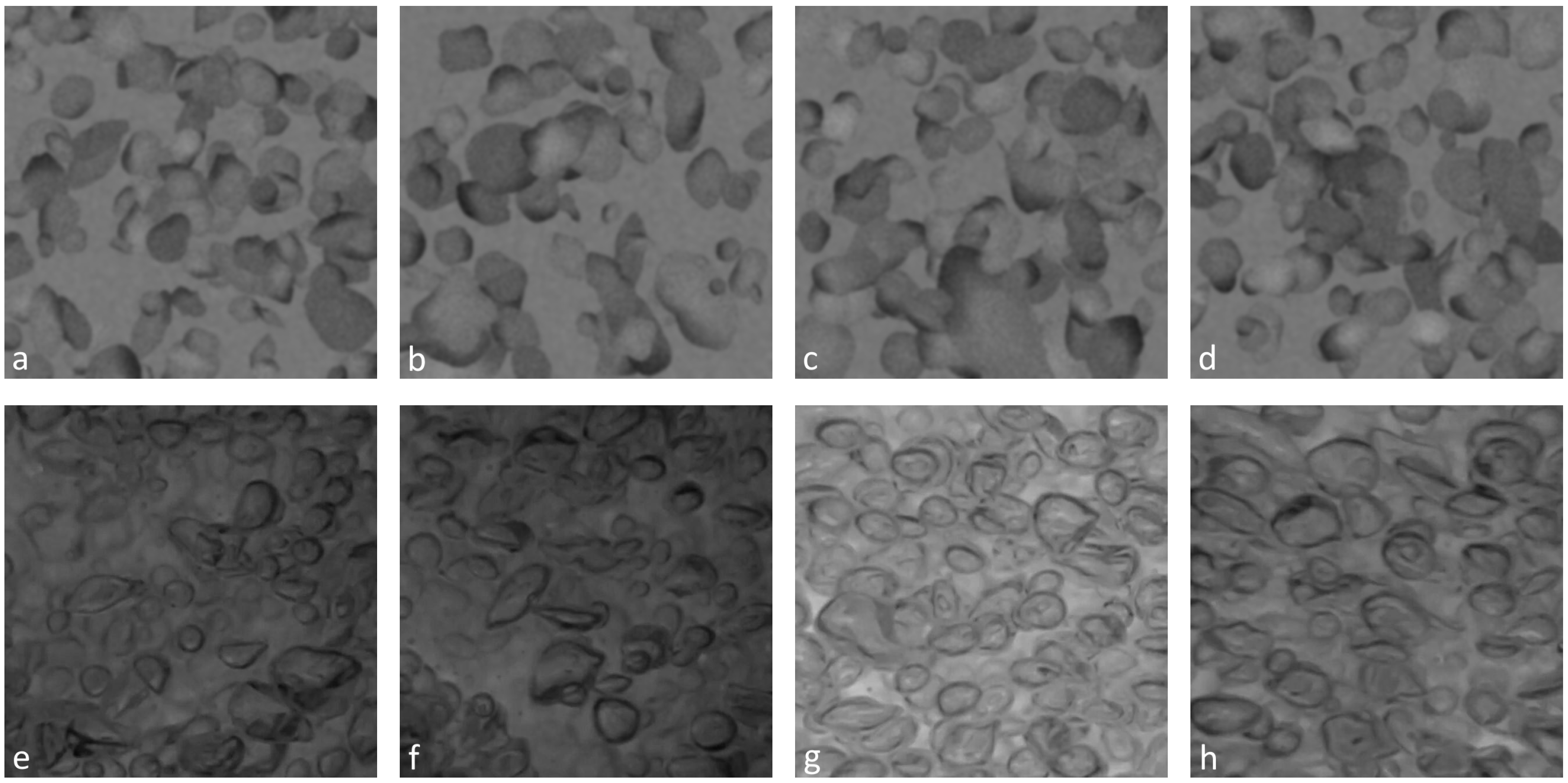 Mathematics 13 00127 g003