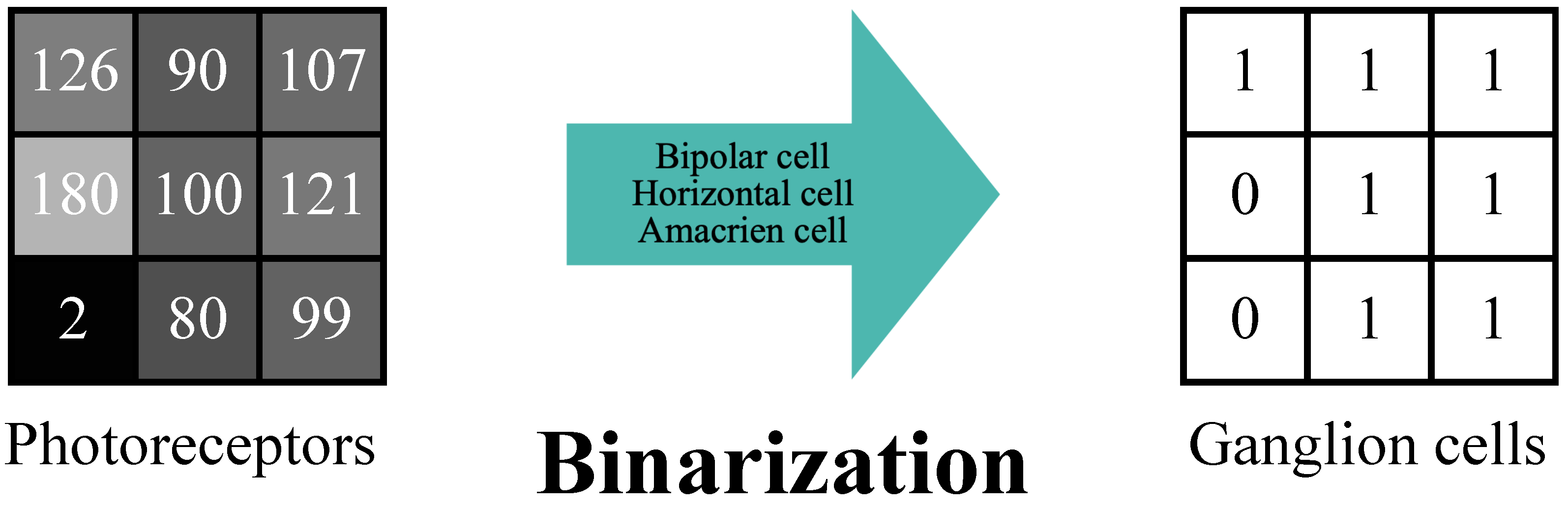 Mathematics 13 00142 g002