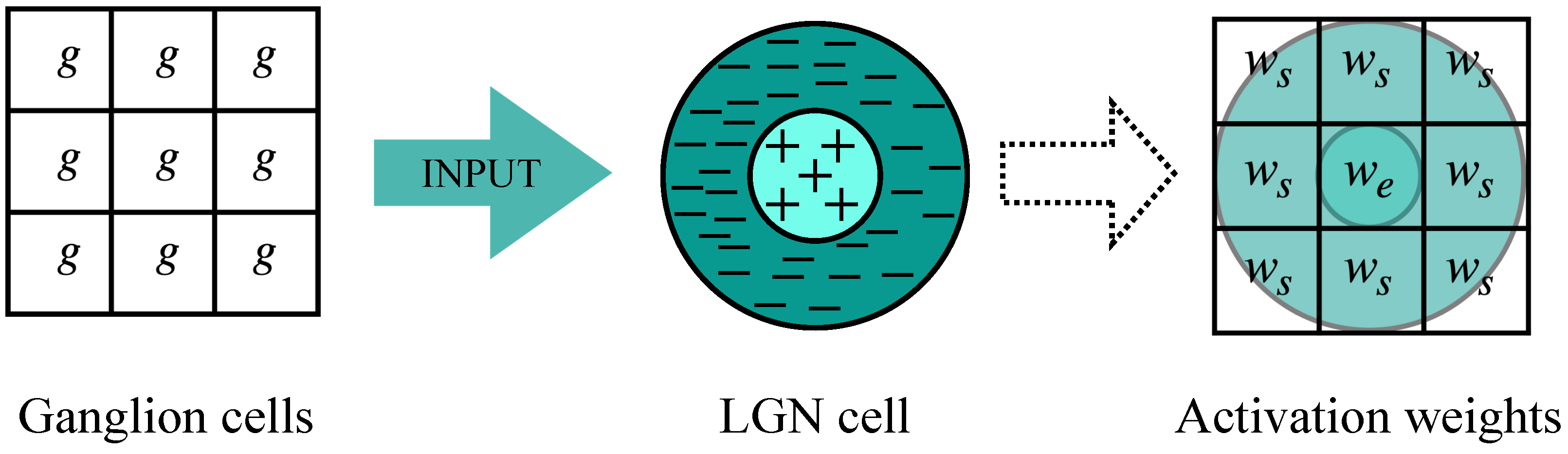 Mathematics 13 00142 g003