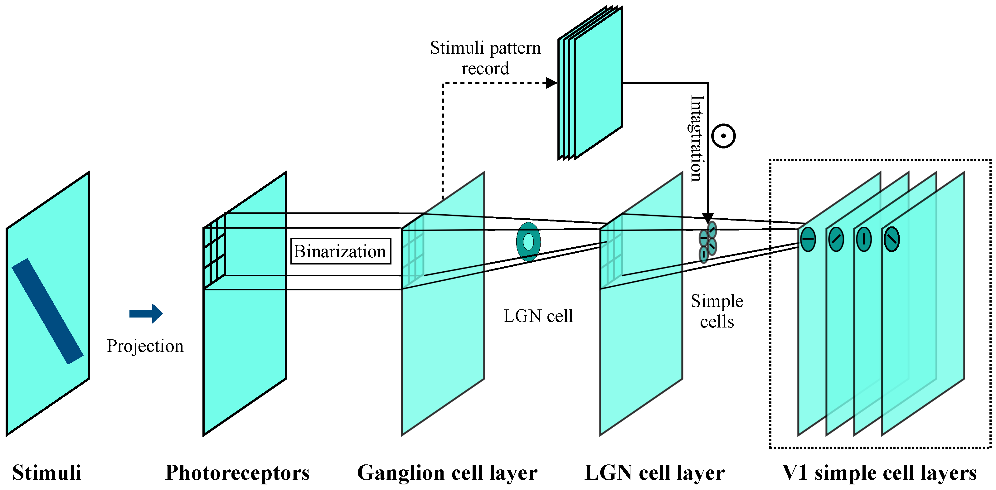 Mathematics 13 00142 g006