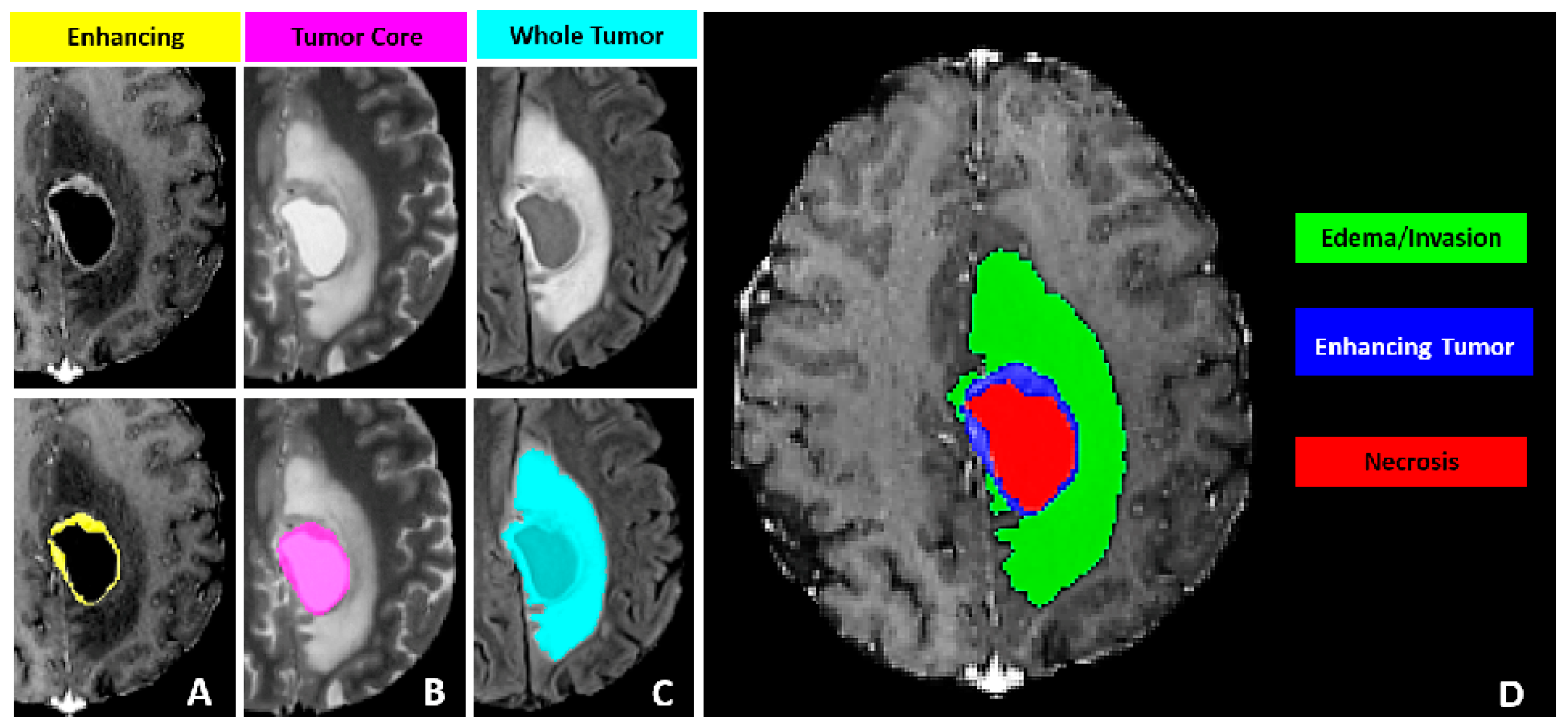 Mathematics 13 00160 g005