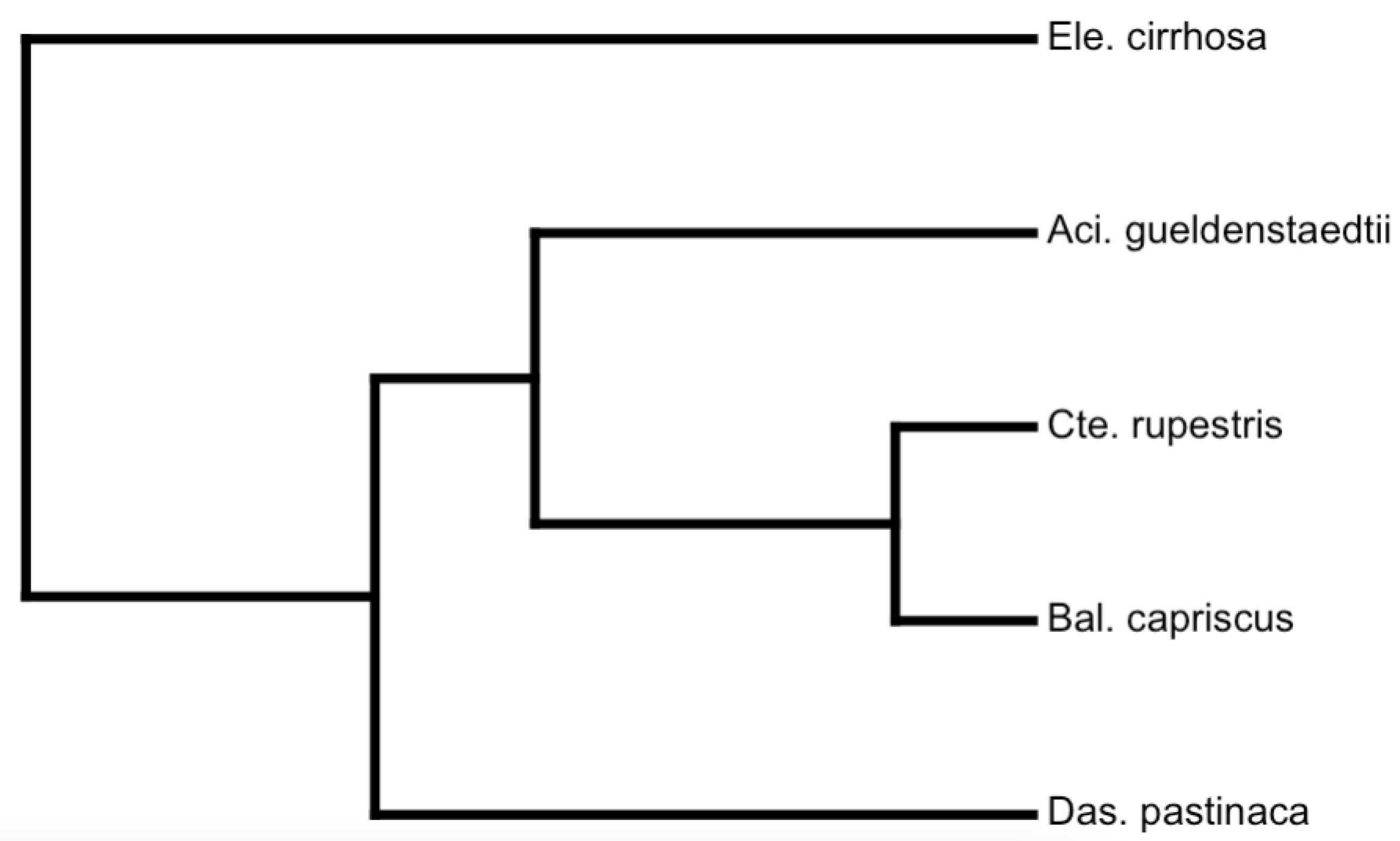 Mathematics 13 00170 g003