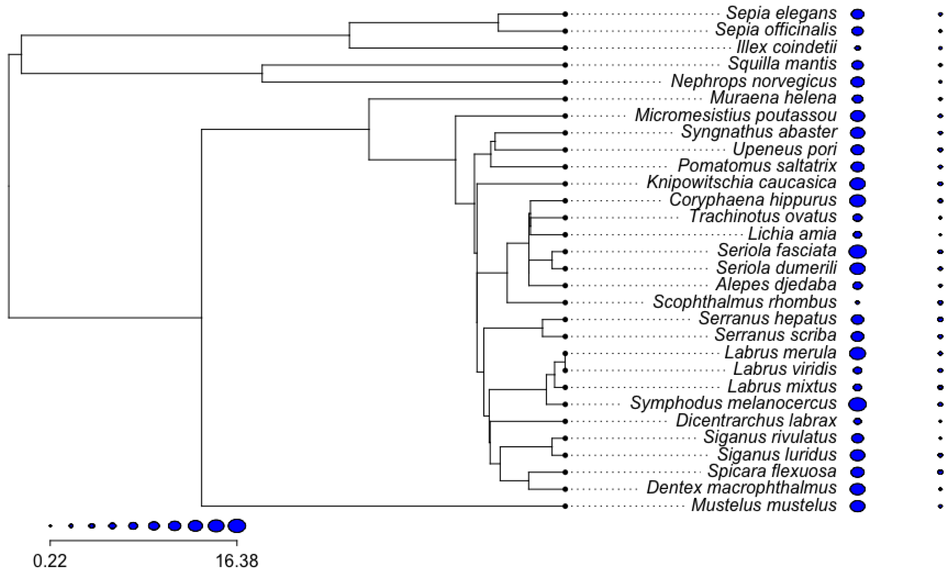 Mathematics 13 00170 g007