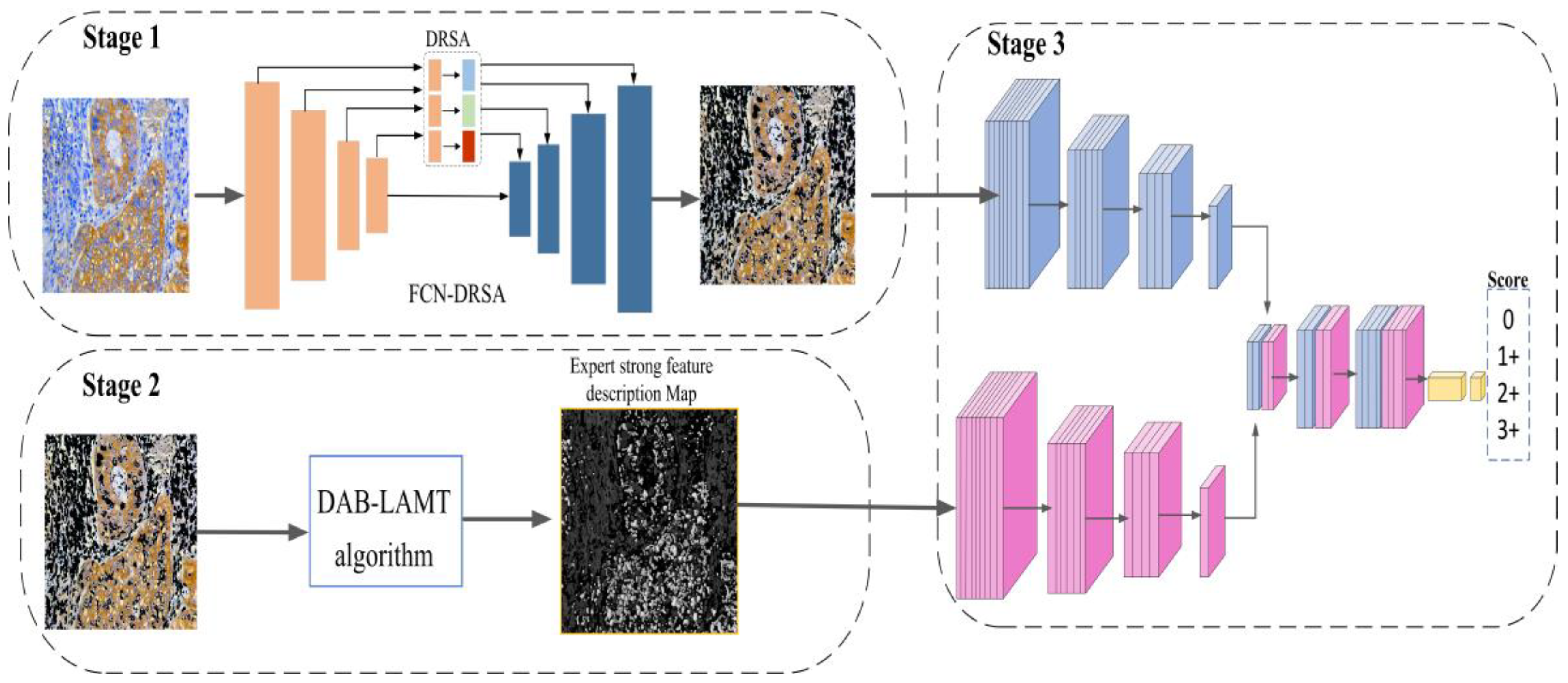 Mathematics 13 00417 g002