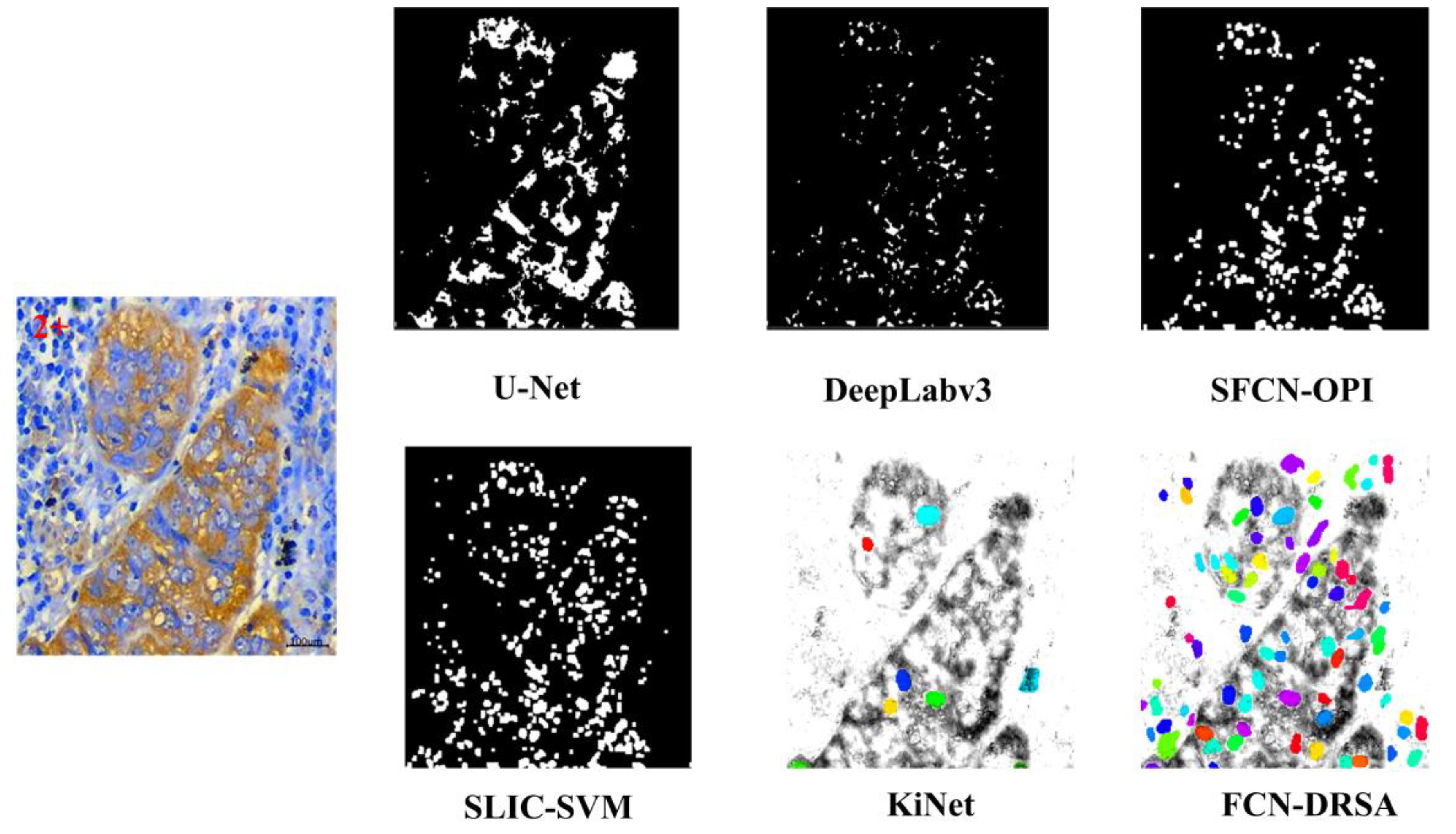 Mathematics 13 00417 g011