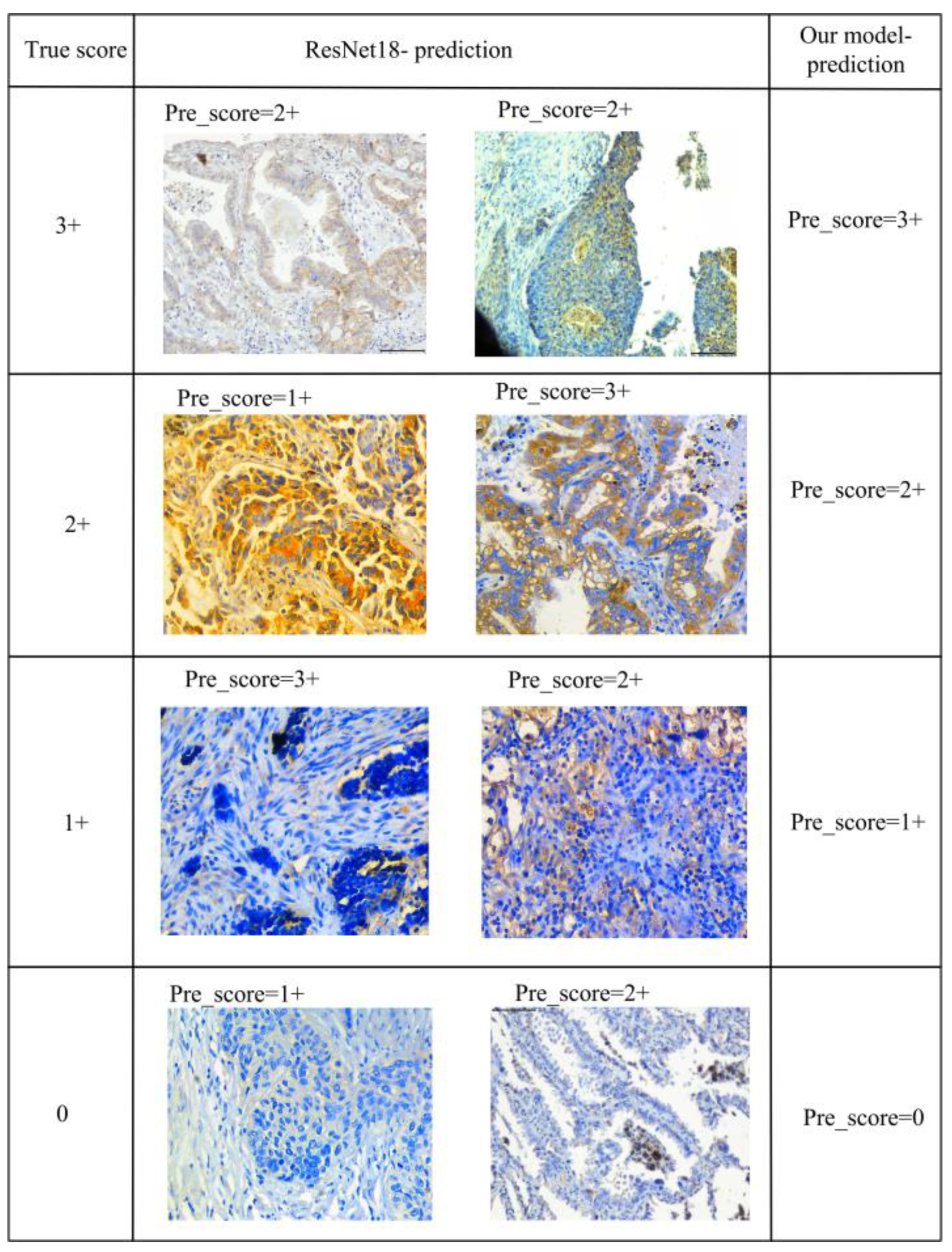 Mathematics 13 00417 g016