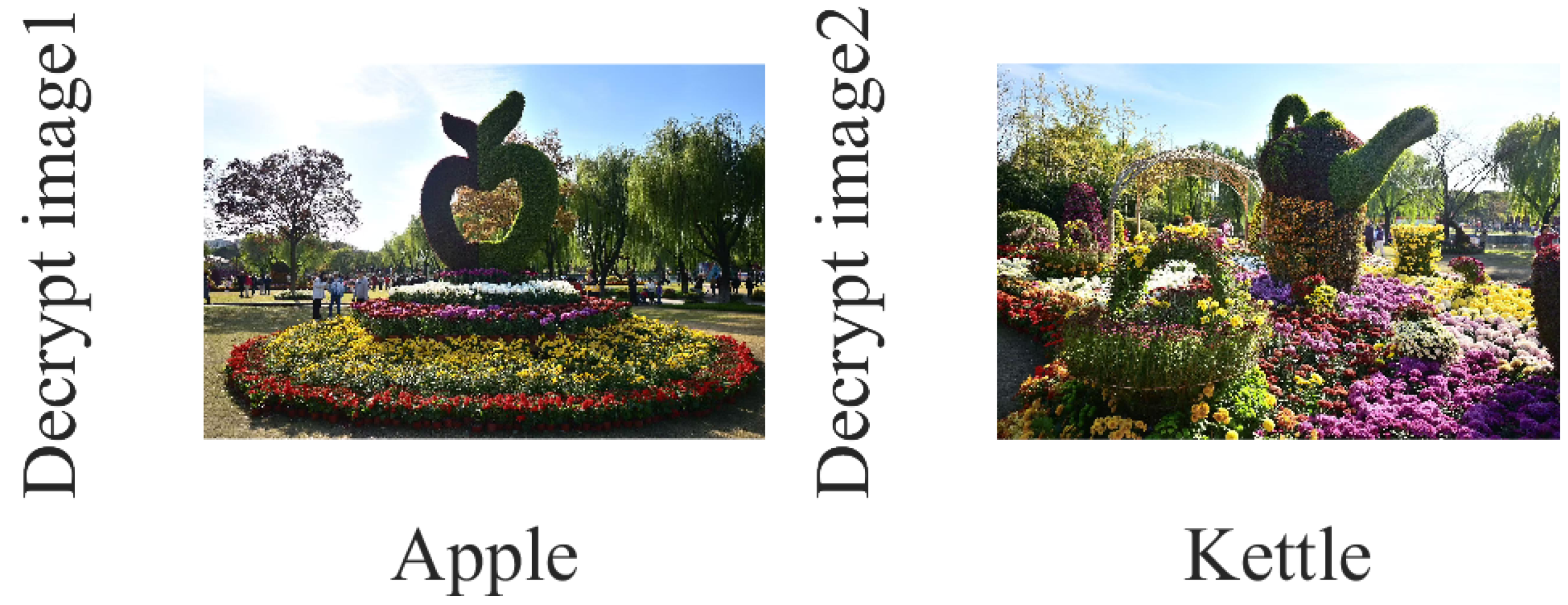 Mathematics 13 00450 g004