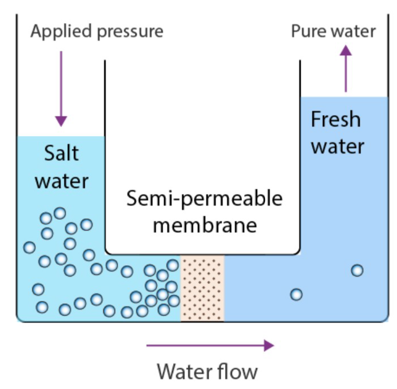 Mathematics 13 00459 g001